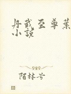 丹武至尊叶星河小说