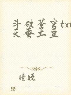 斗破苍穹txt天蚕土豆