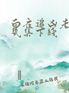 白夜追凶老刘第几集下线