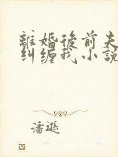 离婚后前夫总想纠缠我小说