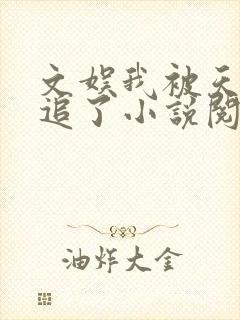 文娱我被天后倒追了小说阅读