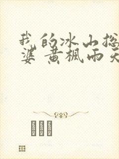 我的冰山总裁老婆 黄枫雨天