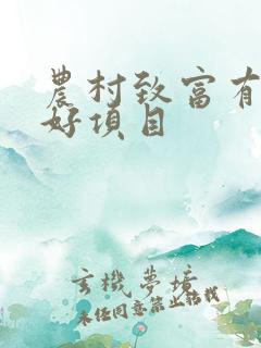 农村致富有什么好项目