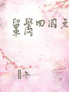 留学回国免税购车网