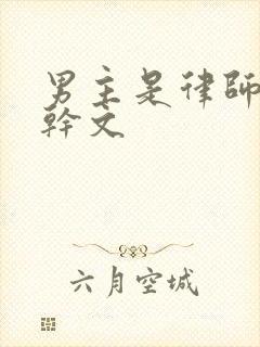 男主是律师的高干文