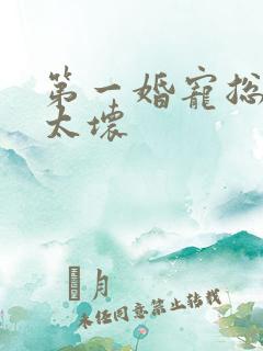 第一婚宠总裁别太坏