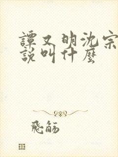 谭又明沈宗年小说叫什么