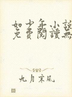 如少年小说全文免费阅读无弹窗