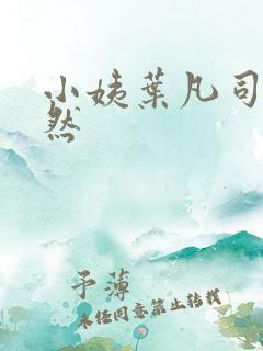 小姨叶凡司徒嫣然