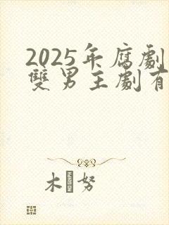 2025年腐剧双男主剧有哪些