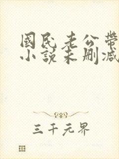 国民老公带回家小说未删减