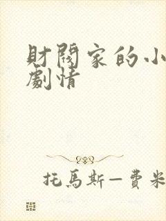 财阀家的小儿子剧情