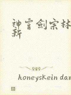 神霄剑宗林枫最新