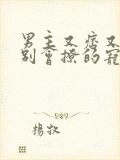 男主又痞又坏特别会撩的宠文古言