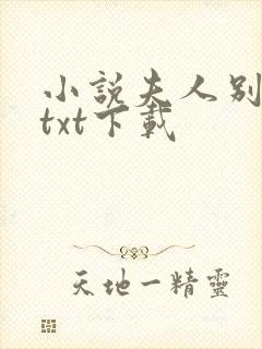 小说夫人别想逃txt下载