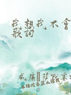 我想我不会爱你歌词