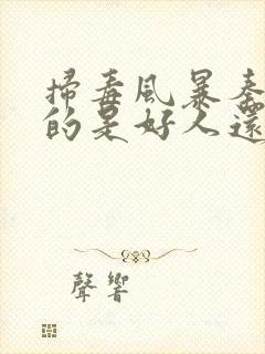 扫毒风暴秦昊演的是好人还是坏人