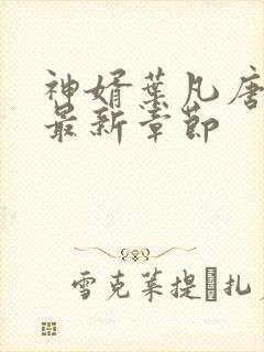 神婿叶凡唐若雪最新章节