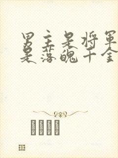 男主是将军女主是落魄千金