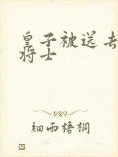 皇子被送去犒劳将士