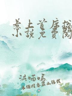 惹上首席总裁2小说免费阅读全文