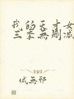 我的天才女友第三季无删减