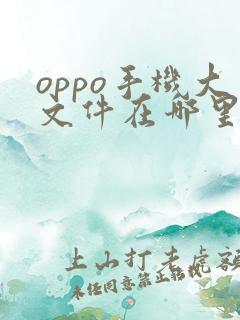 oppo手机大文件在哪里查看