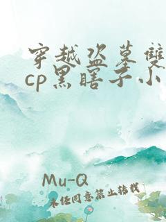 穿越盗墓双男主cp黑瞎子小说