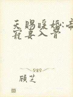 天赐暖婚:帝少宠妻入骨