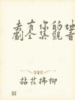 去有你的地方短剧全集观看