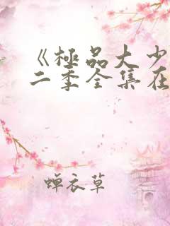 《极品大少》第二季全集在线观看