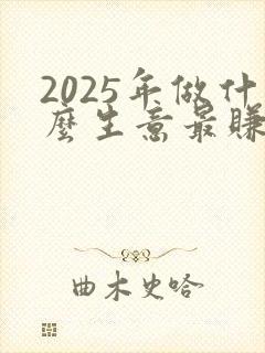 2025年做什么生意最赚钱普通人