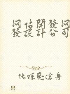 网站开发网站开发设计公司