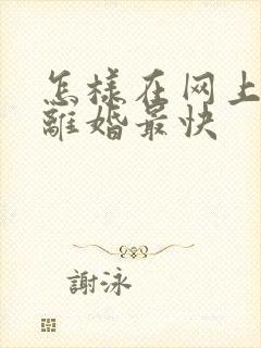 怎样在网上起诉离婚最快