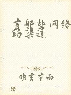 有哪些网络推广的渠道