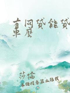 有网贷能贷款买车么