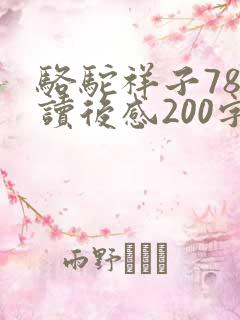 骆驼祥子78章读后感200字