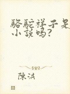 骆驼祥子是长篇小说吗?