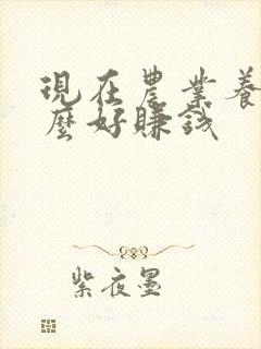 现在农业养殖什么好赚钱