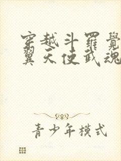 穿越斗罗觉醒六翼天使武魂的小说