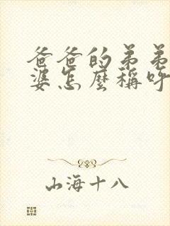 爸爸的弟弟的老婆怎么称呼