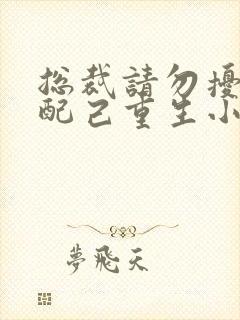 总裁请勿扰,原配己重生小说