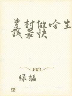 农村做啥生意赚钱最快