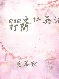 exe文件无法打开