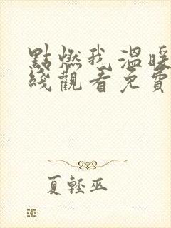 点燃我温暖你在线观看免费全集