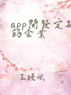 app开发定制的企业