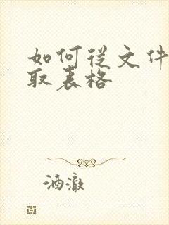 如何从文件里提取表格