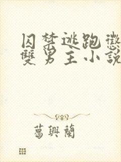 囚禁逃跑惩罚的双男主小说免费攻受