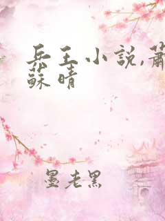 兵王小说,萧晨苏晴