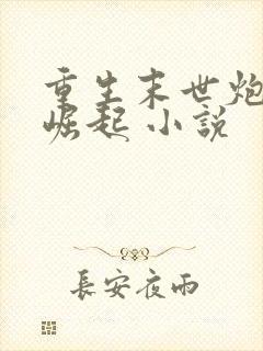 重生末世炮灰要崛起 小说